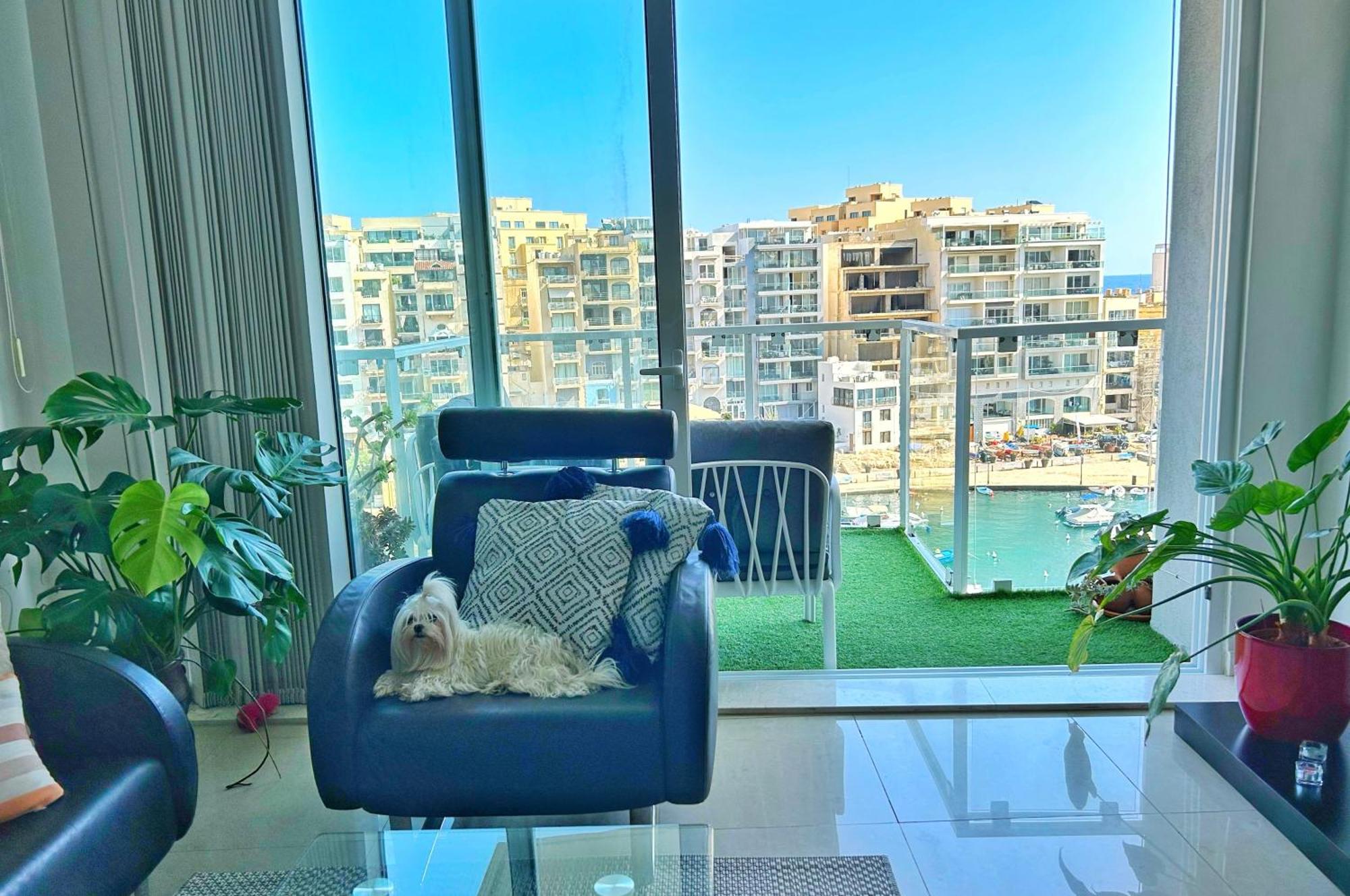 Ferienwohnung Spinola Bay View San Ġiljan Exterior foto